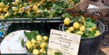Limoncino or Limoncello?