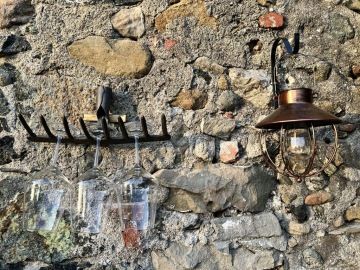 Visita guidata di Levanto con degustazione nel vigneto