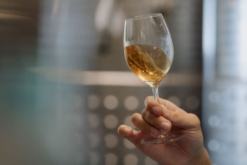 Ein Weinerlebnis in Cà du Ferrà in Bonassola